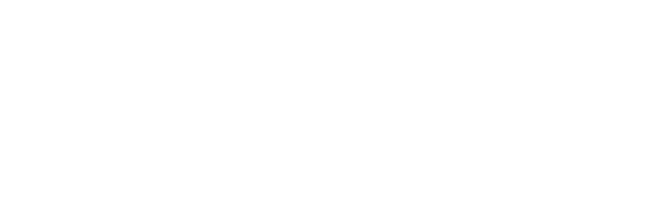 Bella Chic Mauritius Logo